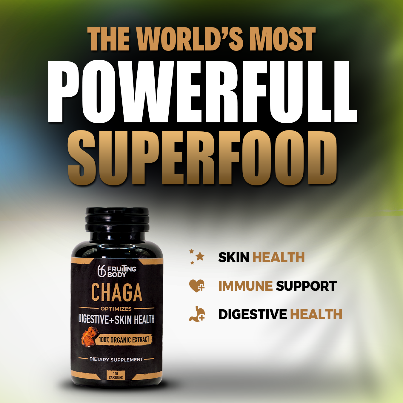 Chaga Capsules